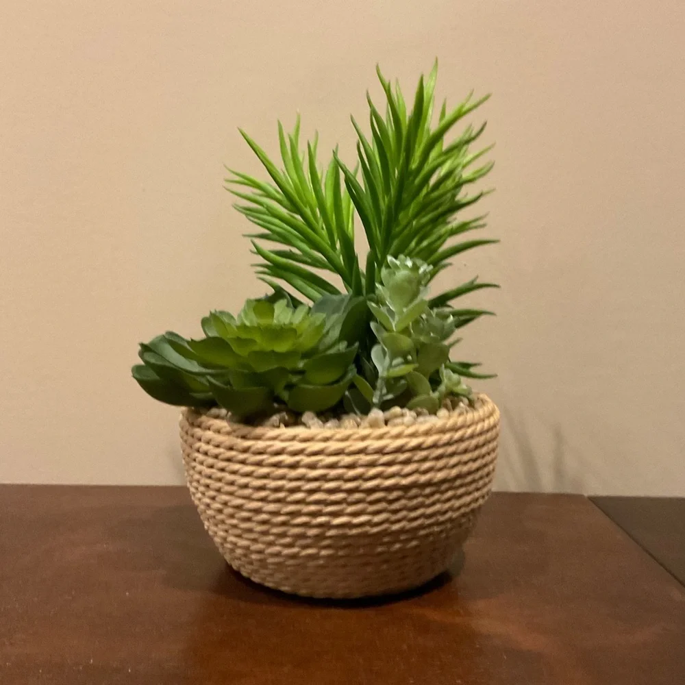 Faux Lavender or Succulents in Flower Pots 🪴